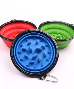 Collapsible Dog Water Bowl & Slow Feeder 2 in 1