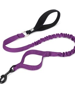 Bungee Dog Leash With Soft Padded Handle