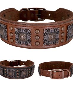 Canis Wide Rivets Decorated Genuine Leather Dog Collar