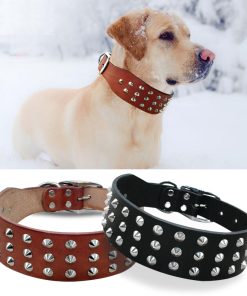 Cool Rivets Studded Genuine Leather Dog Collar