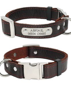 Dog Collar Genuine Leather Brown Free Engraving