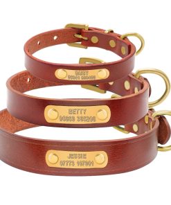 Dog Collar Genuine Leather Free Engraving